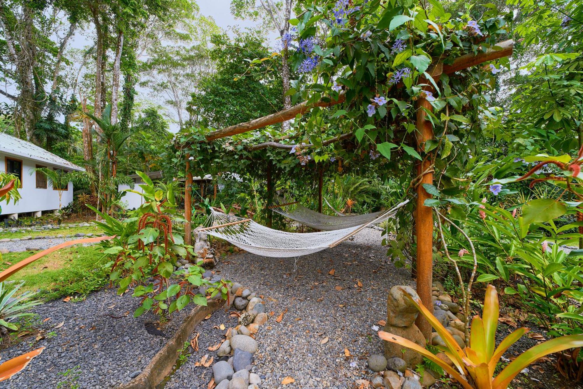 Dragonfly Beachfront Villas-Adult Only 푼타 우바 외부 사진